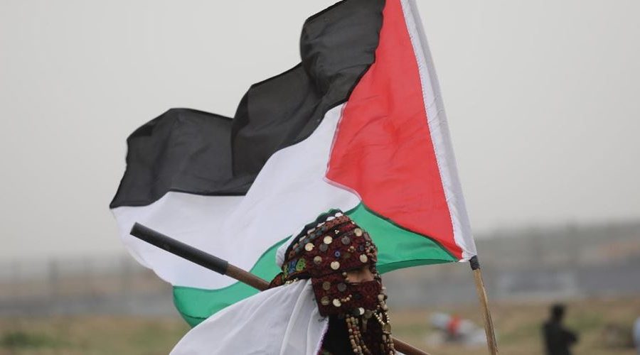 We must work for Palestine, but should not await the results