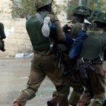 11 palestinians arrested in IOF West Bank raids