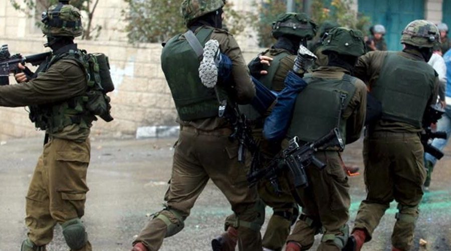 11 palestinians arrested in IOF West Bank raids