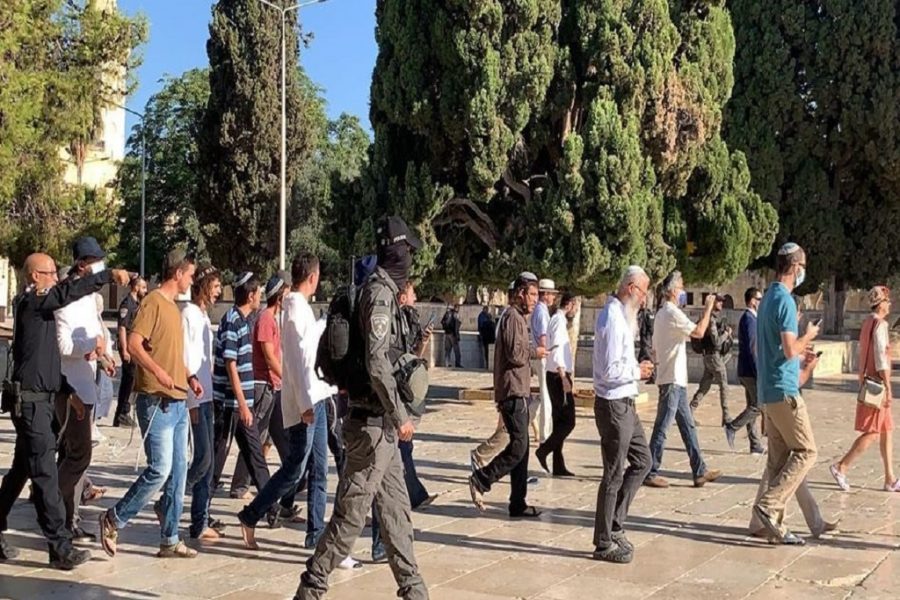 Over 200 Jewish settlers defile Aqsa Mosque