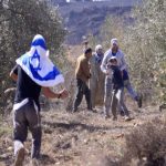 Israeli settlers vandalize Palestinians’ cars, attack farms in West Bank in new provocation