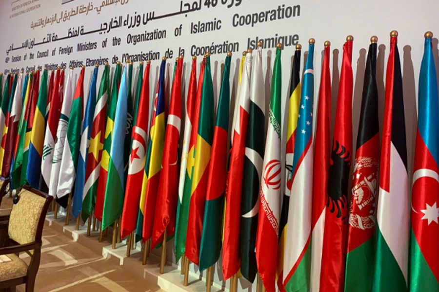 OIC: Israel Must Be Held Accountable for ‘Extrajudicial Killings’