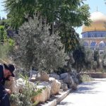 129 nations ignore Jewish ties to Al-Aqsa Mosque, call it solely Muslim