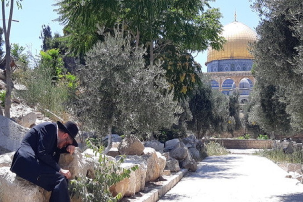 129 nations ignore Jewish ties to Al-Aqsa Mosque, call it solely Muslim