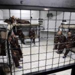 Palestinian prisoners boycott Israeli courts in protest at detention without charge