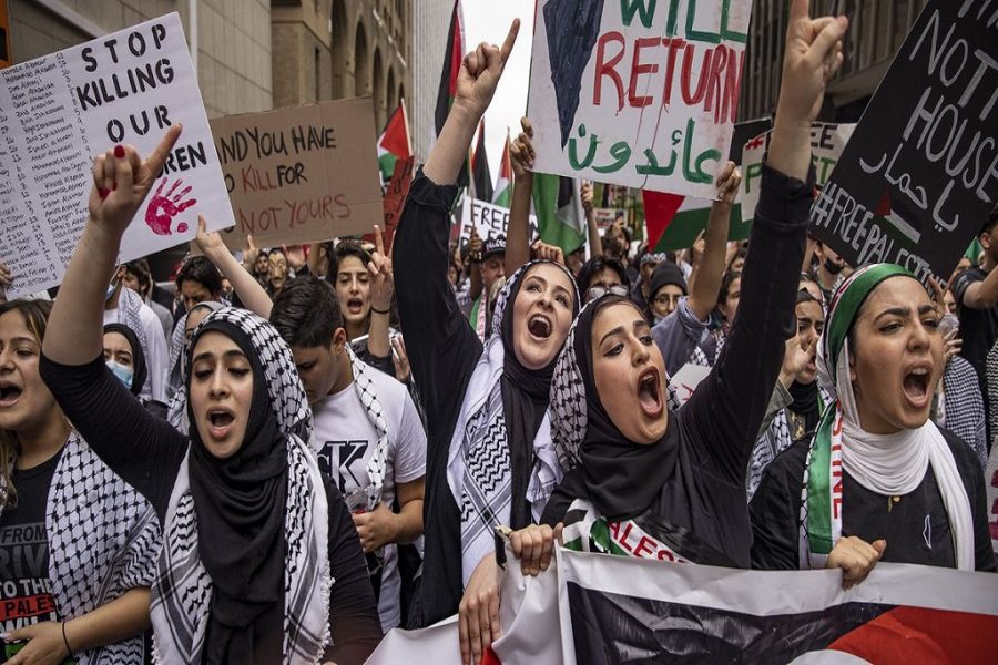 Canadian activists hold rallies in support of Palestine