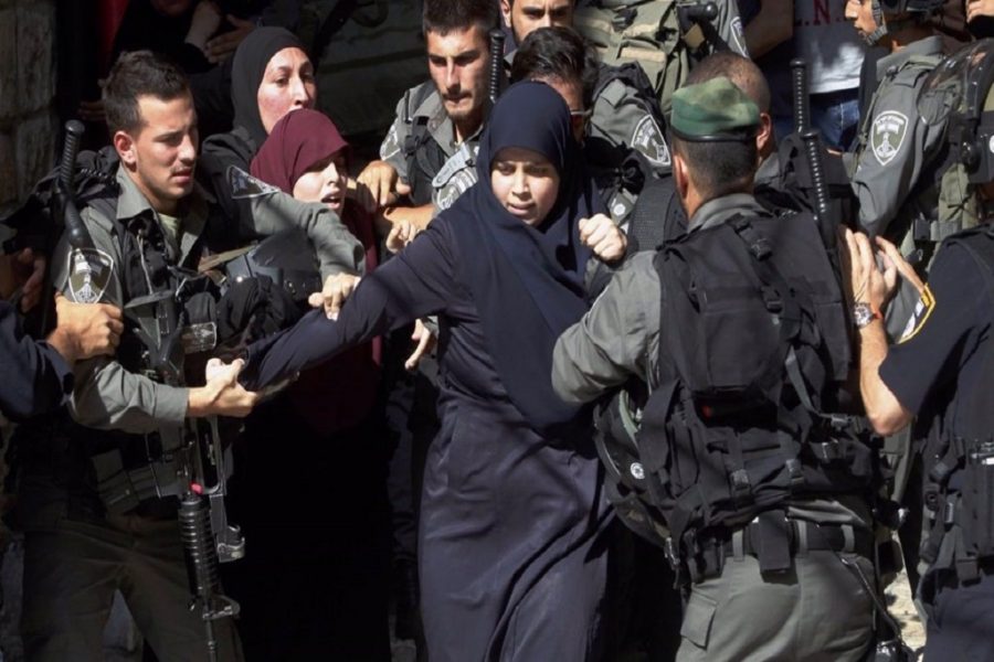 Harvard Law School acknowledges Israel as apartheid regime