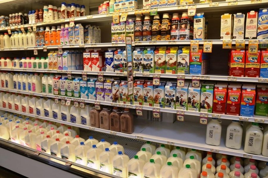 Israel angry at Norway for labeling products from occupied territories