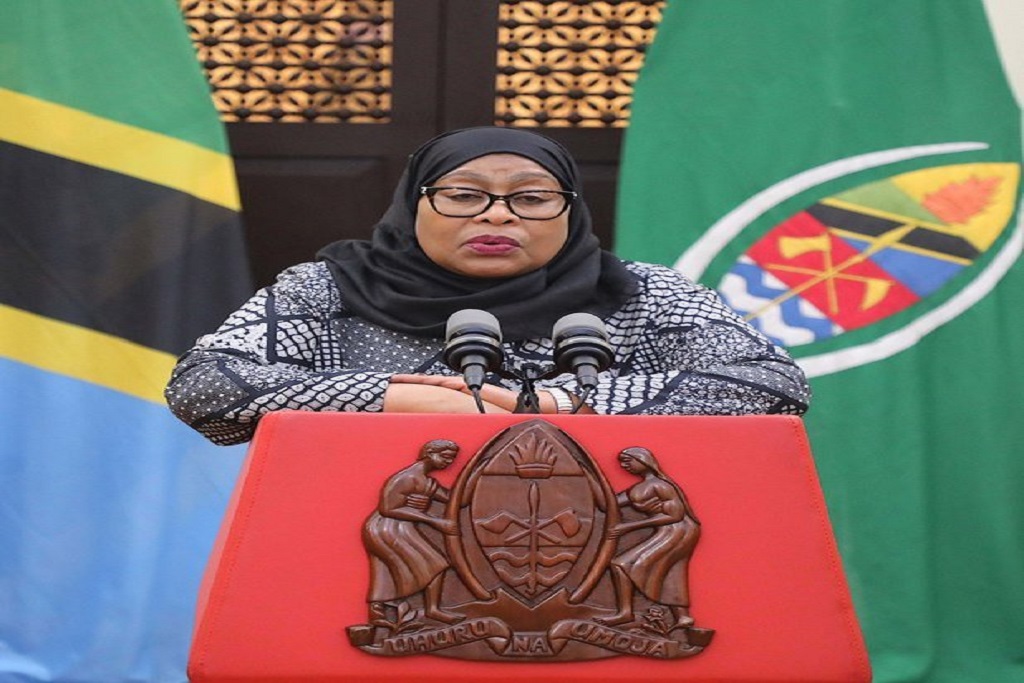 Samia aeleza mkakati kupunguza makali ongezeko bei ya mafuta