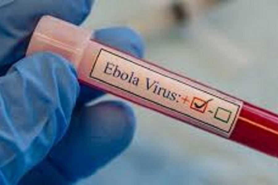 WHO: Mripuko wa nne wa Ebola katika jimbo la Equateur, DRC umetokomezwa