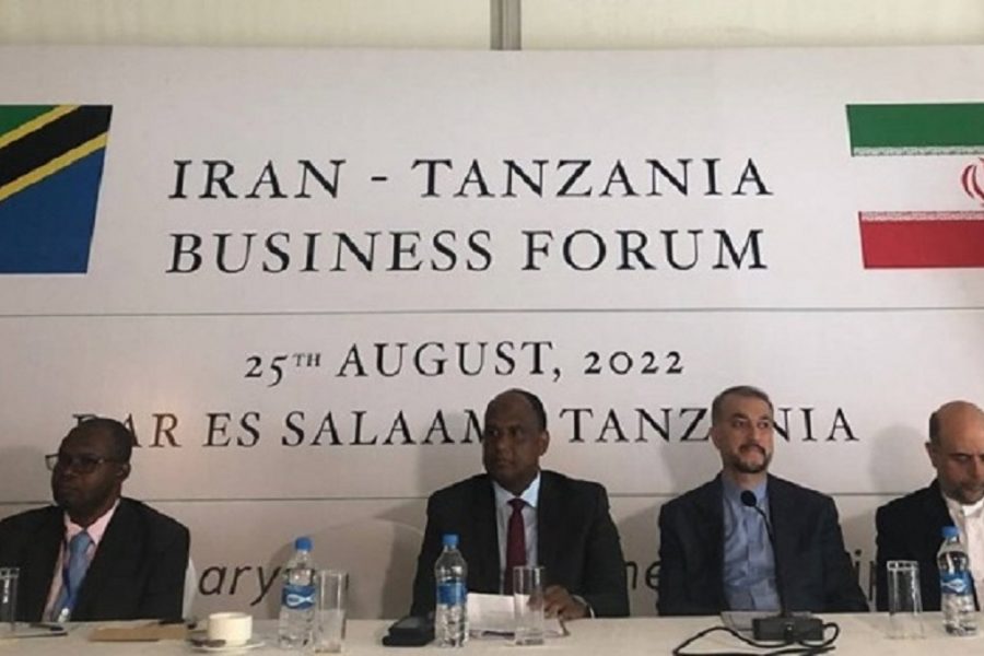 Amir-Abdollahian: Afrika ni moja ya vipaumbele vikuu vya diplomasia ya kiuchumi ya Iran