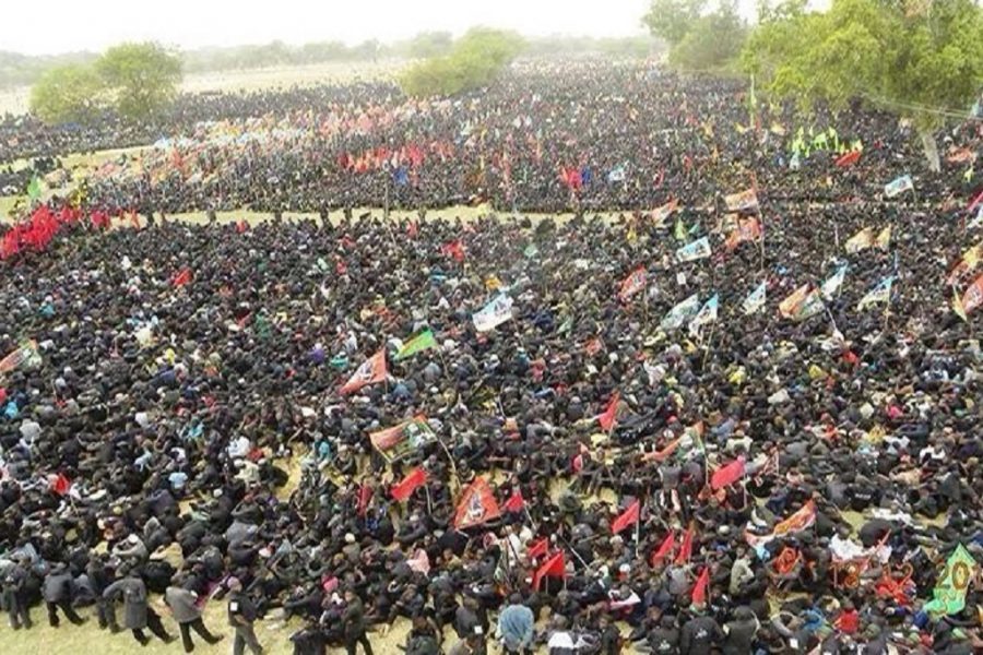 Maadhimisho ya Arubaini ya Imam Hussein yafanyika Tanzania, Nigeria, Niger