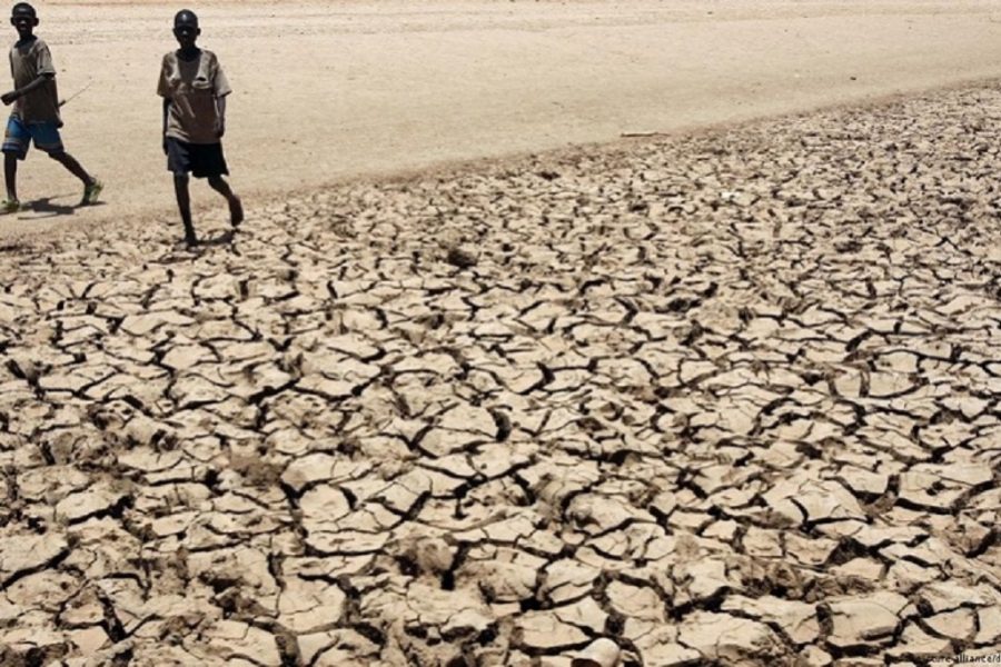 FAO : Zaidi ya watu milioni 4 wameathiriwa vibaya na ukame nchini Kenya