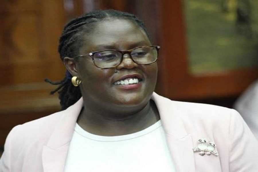 Winnie Odinga: Nchi za Magharibi zimeingilia uchaguzi wa urais mwezi Agosti wa Kenya