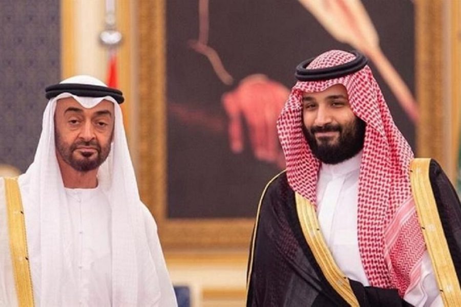 Bin Salman na Bin Zayed hawana ubavu isipokuwa wa kuua watoto wa Kiyemen