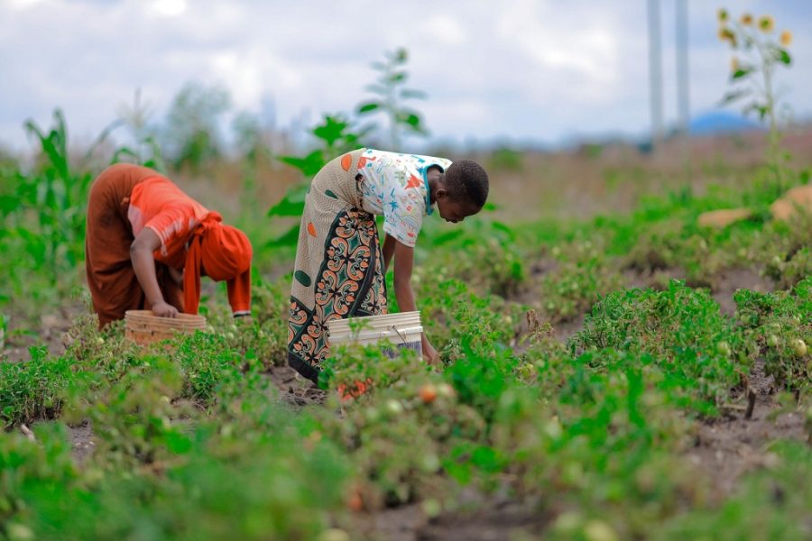 Kilimo umwagiliaji kukabili mabadiliko tabianchi
