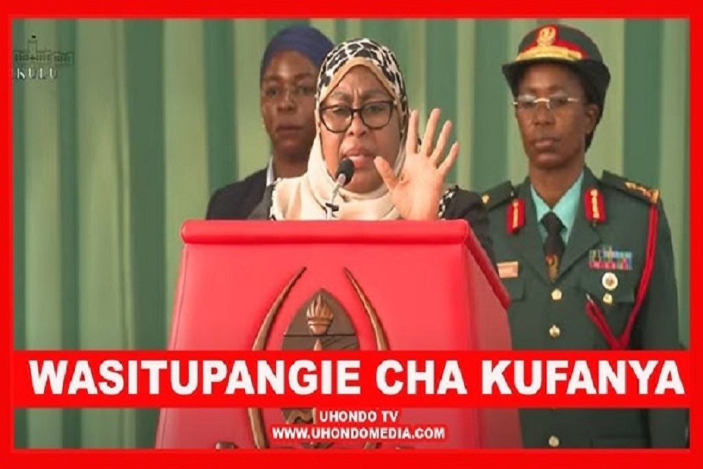 Rais wa Tanzania ameishutumu Marekani, na nchi za Magharibi kwa kuingilia masuala ya ndani ya nchi