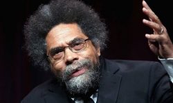 فلسطینیوں کے ساتھ جاری غیرمنصفانہ سلوک پر ہاورڈ یونیورسٹی کے پروفیسر مستعفیٰ