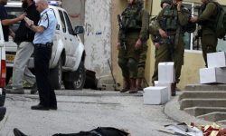 غزہ پر جارحیت کے دوران غرب اردن میں 11 فلسطینیوں کے قتل کا انکشاف