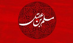 مسلمان کوفہ، تنہا مسلم