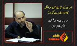اسرائیل ہندوستان کو ایران مخالف محاذ میں شامل کرنا چاہتا ہے: ڈاکٹر سلطان شاہی