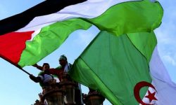 الجزائر میں صہیونی ریاست کی سازش ناکام