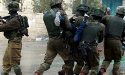 اسرائیلی فوج کی غنڈہ گردی جاری، ایک درجن فلسطینی گرفتار
