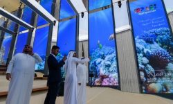 دبئی بین الاقوامی نمائش میں اسرائیلی پویلین کا افتتاح