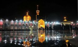 شہادت امام رضا(ع) سے متعلق نظریات کا جائزہ