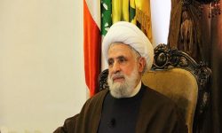 خطے میں امن و سکون کی ضمانت فلسطین کی آزادی: نعیم قاسم