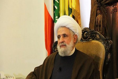خطے میں امن و سکون کی ضمانت فلسطین کی آزادی: نعیم قاسم