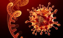 اومیکرون سے بھی زیادہ خطرناک وائرس (پہلا حصہ)