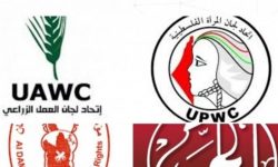 انسانی حقوق کے اداروں پر ’دہشت گردی‘ کا اسرائیلی الزام باطل قرار