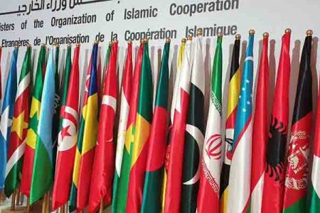 بے گناہ فلسطینی بچے کا قتل ناقابل قبول جرم ہے: او آئی سی