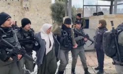 اسرائیلی درندوں کا نہتی خاتون پرسفاکانہ تشدد، خاتون بے ہوش