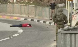 صیہونیوں کی گولی سے نوجوان فلسطینی شہید