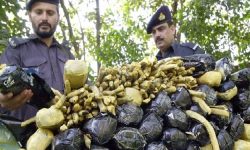 فارن پالیسی: سعودی عرب مغربی ایشیا میں منشیات کا مرکز “سعودی عرب!”