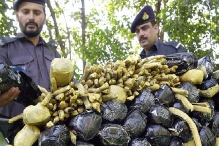 فارن پالیسی: سعودی عرب مغربی ایشیا میں منشیات کا مرکز “سعودی عرب!”