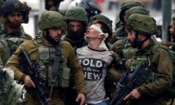 صہیونی ریاست فلسطینیوں کو مزید کچلنے کے لیے کوشاں