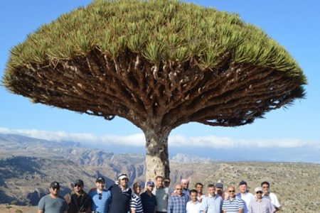 متحدہ عرب امارات نے یمن کے سقطریٰ پہاڑ پر صہیونی پرچم بلند کر دیا + تصویر