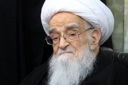 شیخ الفقہاء آیت اللہ صافی گلپائیگانی کی خصوصیات