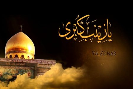 مزاحمت کا منفرد کردار، سیدہ زینب سلام اللہ علیہا