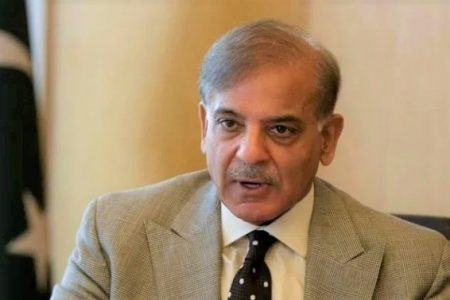 پاکستان کی الجزیرہ کی فلسطینی نامہ نگار کے وحشیانہ قتل کی شدید مذمت