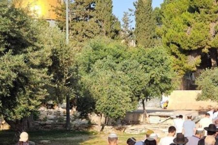 دسیوں صہیونی شرپسندوں کا قبلہ اول پر دھاوا