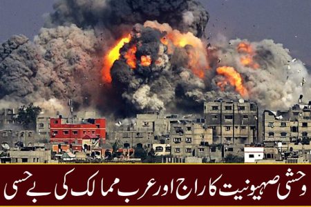 وحشی صیہونیت کا راج اور عرب ممالک کی بے حسی