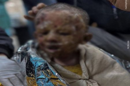 کونسا ملک ابتدا سے انتہا تک فلسطین کا حامی ہے؟