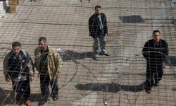 فلسطینی قیدیوں پر ظلم و بربریت