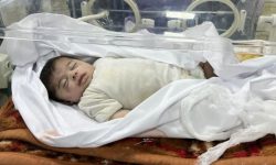 غزہ میں غذائی قلت سے بچوں کی اموات مکمل طور پر ناقابل قبول ہیں: بیلجیم