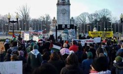 امریکہ کے اندر سے مخالف آواز