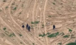 غزہ میں ڈرون حملے میں شہید چار بے گناہ فلسطینیوں کی شناخت